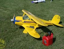 Scale Show 2010