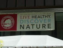 Daley Plaza 2011