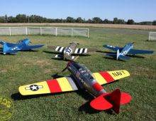 Military Show 2010